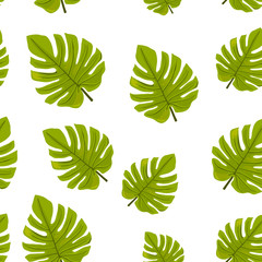 Wall Mural - Seamless pattern with tropical leaves of monstera