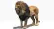 Lion (3D)