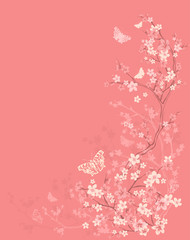 Wall Mural - spring season vector background with butterflies among sakura flowers