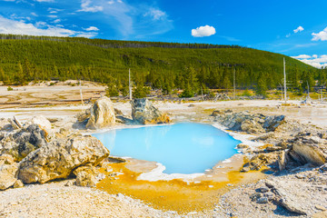 Wall Mural - Geysers at Norris Basin