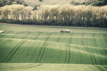 Wall Mural - Vintage Tractor Rides on Road