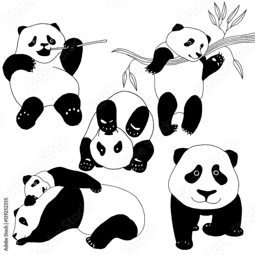 Panda bear variations - Buy this stock vector and explore similar vectors at Adobe Stock | Adobe