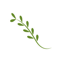 Wall Mural - Plant branch isolated icon vector illustration graphic design