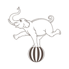 Circus elephant on the ball