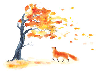 watercolor autumn tree with yellow and orange leaves and red fluffy cute fox on white. leaf fall wit