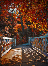 Wooden Bridge Into The Autumn Park