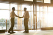© PhotoAlto - Businessmen greeting one another with handshake
