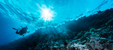 Rays Of Sunlight Shining Into Sea, Underwater View