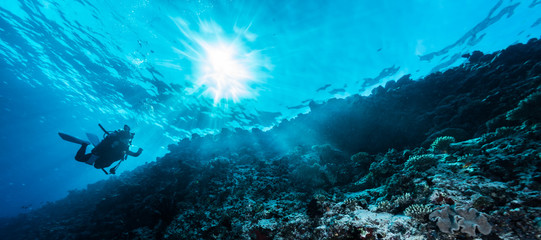 Rays of sunlight shining into sea, underwater view