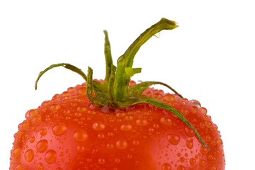 Isolated fresh tomato with water drops
