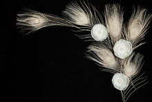 Black Dark Retangular Horizontal Background With Handmade Gentle White Ranunculus Flowers And Peacock Feathers, Lying Flat, Top View. Have An Empty Place For Your Text.