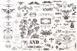 © Mary fleur - Big decorative collection of vector frames, borders, flourishes and flowers for vintage design