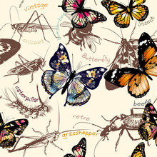 Vintage Vector Wallpaper Pattern With Detailed Insects In Vintage Style