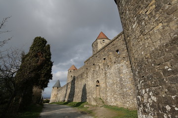 Wall Mural - Cité de carcassonne, Sud de France