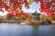 gyeongbokgung palace in autumn with blur maple in foreground, Seoul, South Korea.