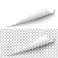 Leinwandbilder - Vector realistic white paper corner with shadow on transparent background. 3D page corner curled. Blank sheet of paper. Design element.