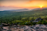 Fototapeta Na ścianę - Scenic sunset, Grayson Highlands, Appalachian Trail, Virginia