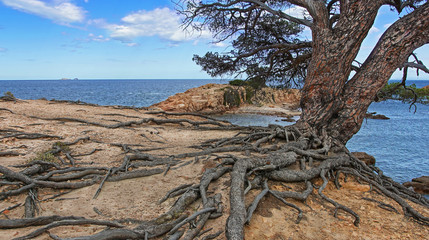 Wall Mural - Pointe des plages d’Acciaju et Folacca de Porto-Vecchio en Corse