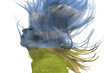 © grufnar - double exposure of a woman with flowing hair and colorful nature landscape
