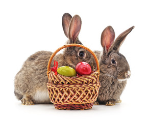 Poster - Easter rabbits with colored eggs.