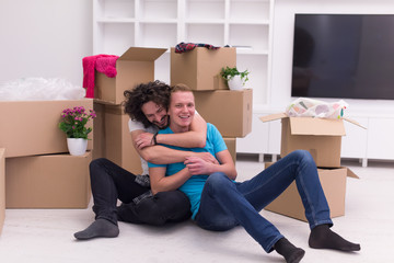 young  gay couple moving  in new house