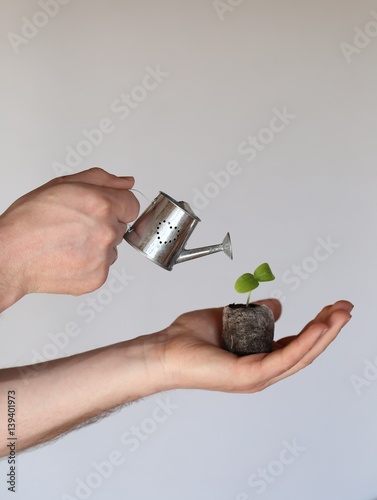Olericulture Cultivation Of Vegetables With Your Hands