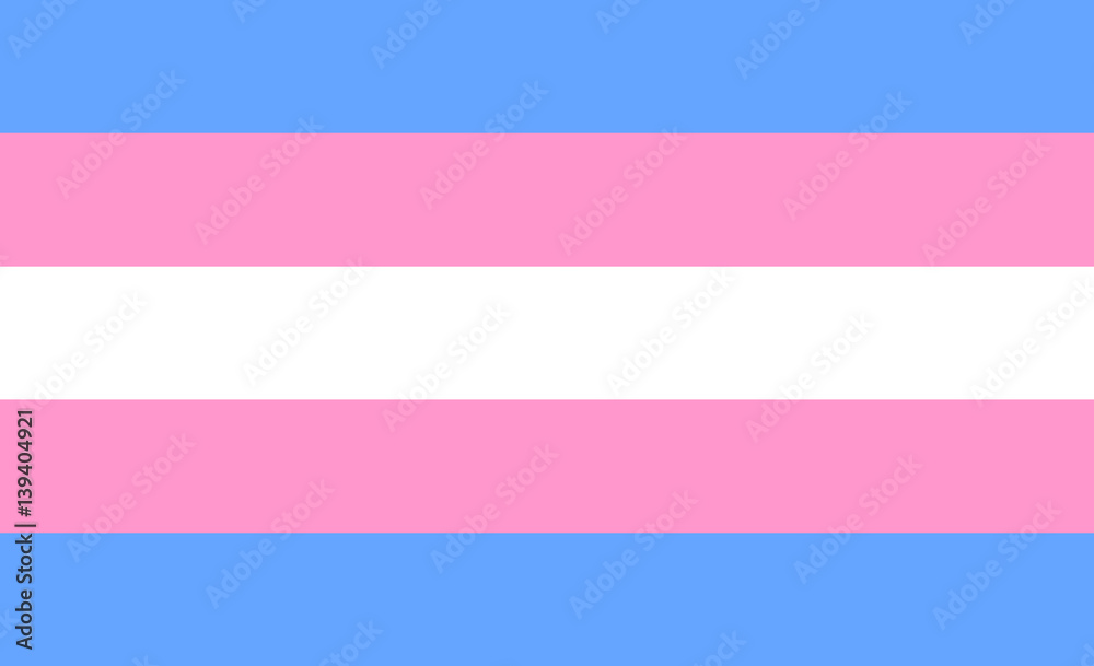 Transgender flag or trans banner with blue and pink strips vector - obrazy, fototapety, plakaty 