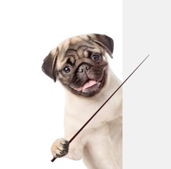 Leinwandbilder - Dog holding a pointing stick and points on empty banner. isolated on white background