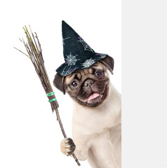 Poster - Pug puppy with hat for halloween and with witches broom stick peeking from behind empty board. isolated on white background