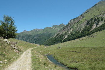 Wall Mural - Sentier de randonné dans la vallée d'Orlu, Pyrénées ariégeoises, Midi-Pyrénées, France