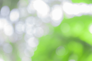 Wall Mural - abstract nature blurred circle green bokeh for christmas or celebration light holiday background.