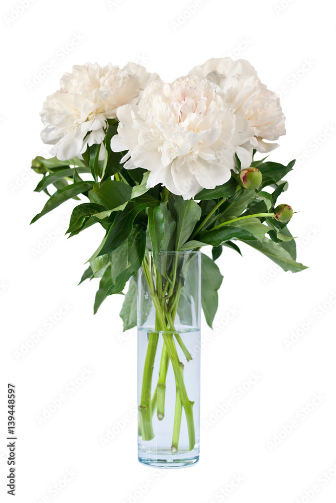 Beautiful white flowers peonies in a vase - obrazy, fototapety, plakaty 