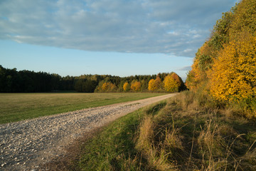 Autum 1