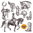 Hand Drawn Equipment For Horses. Horse And Horseback Riding Sketch Set