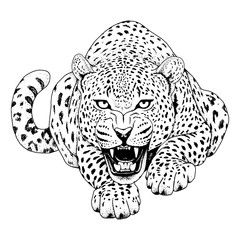 leopard face tattoo ,vector illustration, print