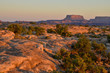 Island in the Sky at sunrise viewed from Slickrock foot trail
Needles District of Canyonlands National Park, Utah, United States