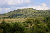 Fototapeta Sawanna - Afrykańska sawanna w parku narodowym Pilanesberg