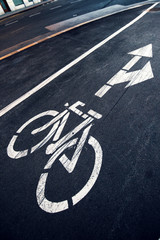 Wall Mural - Bicycle lane sign on the road