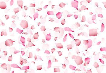 Canvas Print - Flying pink japan sakura, cherry or rosa petals vector seamless romance pattern