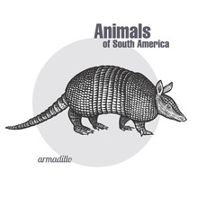 Armadillo Hand Drawing. Animals Of South America Series. Vintage Engraving Style. Vector Illustration Art. Black And White. Object Of Nature Naturalistic Sketch.