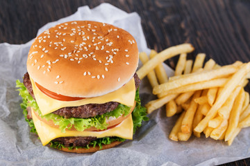 Canvas Print - burger and french fries