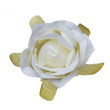 white flower head isolated, beautiful decoration,top view