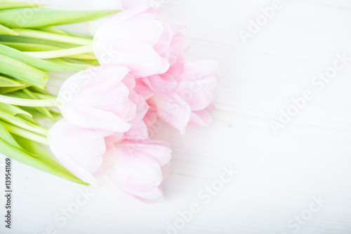 bukiet-rozowych-tulipanow-na-bialym-tle