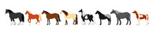 Colorful Horse Banner 