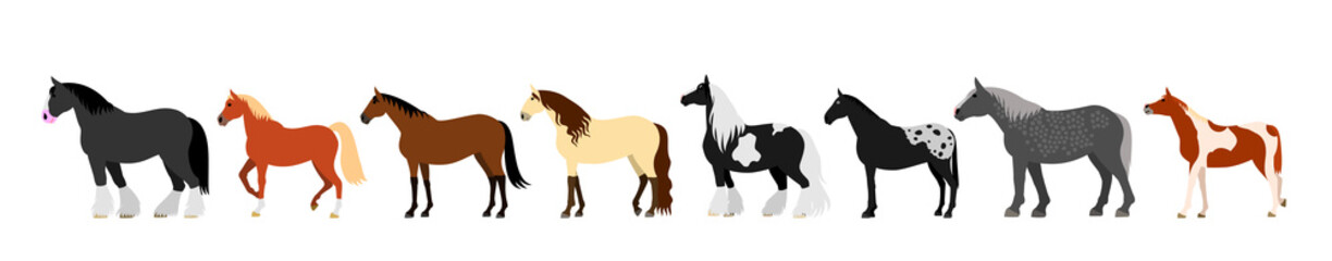 colorful horse banner