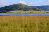 Fototapeta Sawanna - Sawanna w parku narodowym Pilanesberg