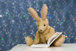 Cute child's toy rabbit reading at storytime.