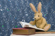Cute child's toy rabbit reading at story time.