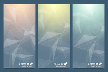 Poster - Modern set of vector flyers. Geometric presentation. Molecule and communication background for medicine, science, technology. Scientific cybernetic particle compounds. Lines plexus. Card surface.
