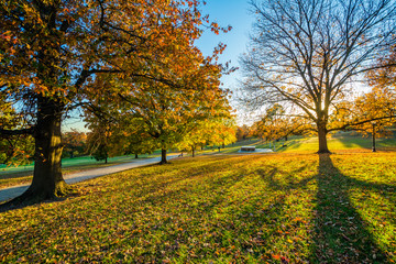  Autumn color at Patterson Park, in Baltimore, Maryland.